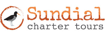 Sundial Charters: Tybee Island, GA